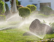 Automatic Sprinkle plants in the garden