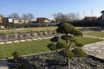 zakladanie-ogrodu-kamien-ogrodowy-trawa-z-rolki-rybnik-21
