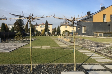 zakladanie-ogrodu-kamien-ogrodowy-trawa-z-rolki-rybnik-26